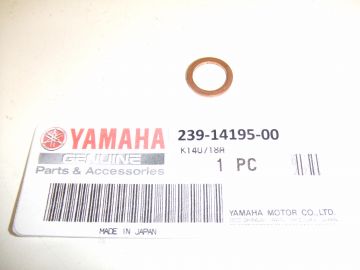239-14195-00 Washer valve set all race bikes