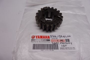 239-17241-01 Gear 4th Wheel 19T special TR2 used but perfect.