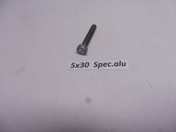 09123-05004 Screw M5x30 spc.alu race RG500 / RGB500