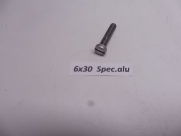 09123-06008 Screw clutch inner/magneto M6x30 spec.alu RG-RGB500 new