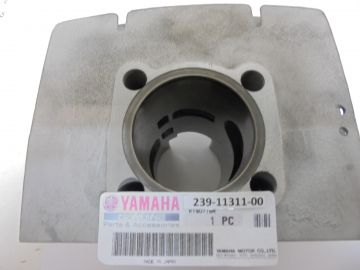 239-11311-00 cylinder L.H. TR2 as 