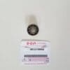 Suzuki - 08113-69000 - RGB500 - Water Pump & Water Hose