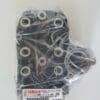 Yamaha - 430-11111-00 New_1 - TZ250 A/B - Cylinder