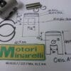 Minarelli - 62.0115.7 / 117.7 Pist.assy 41.5mm - P2/P3/P4/W3 or 6- Piston