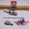 B10EG (NGK)spark plug (bougie)