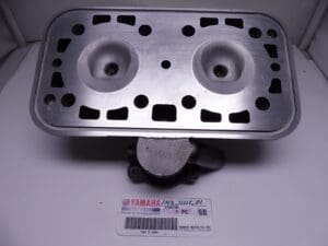 Yamaha - 1H3-11111-01 - TZ250 F/G - Cylinder