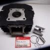 Honda - 12100-166-610-3 - MT5 - Cylinder with Piston Complete