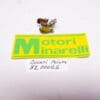 82.0006.6 Breaker ass'y(ducati)ignition Minarelli P3-P4-P6R original new