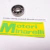 51.0205.9 Bearing crankshaft Minarelli G1 KS 50cc mini cross.