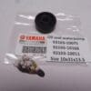 Yamaha - 93103-10075/10168/10011 TZ250-350 A/B/C/D/E/F/G and RD250-350 - Water Pump