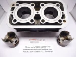 4A1-11311-00 Cilinder complete with pistons Yamaha TZ250-G 1979-1980 used
